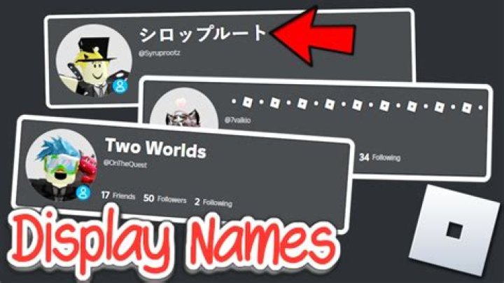 How to put display name on roblox