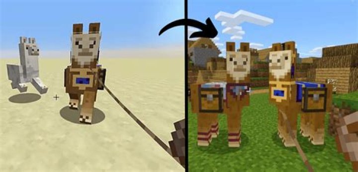 How to ride a llama on minecraft pc