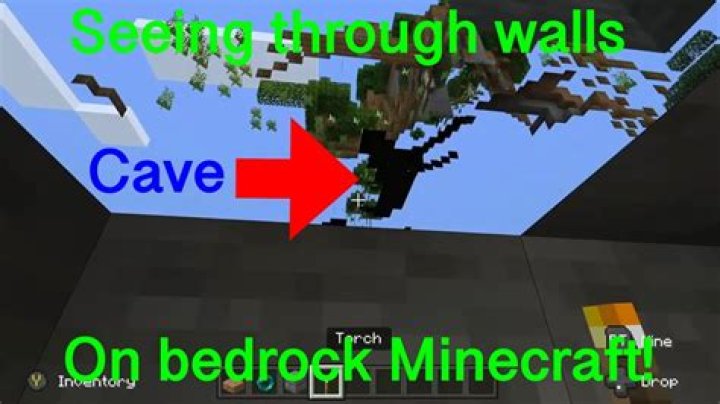 How to see through walls in minecraft 1.14