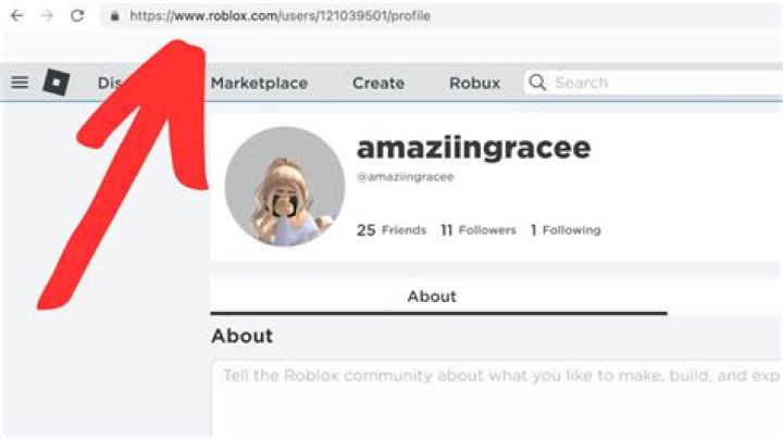 How to see your player id on roblox