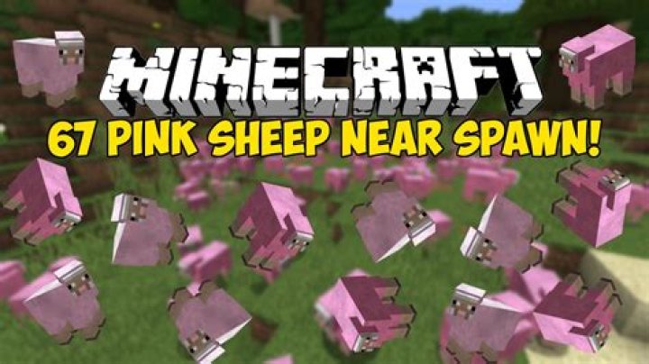 How to spawn a pink sheep in minecraft