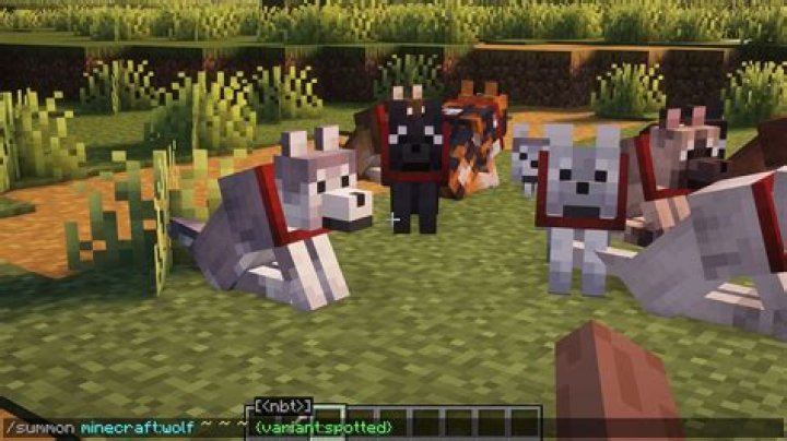 How to spawn a skeleton dog in minecraft