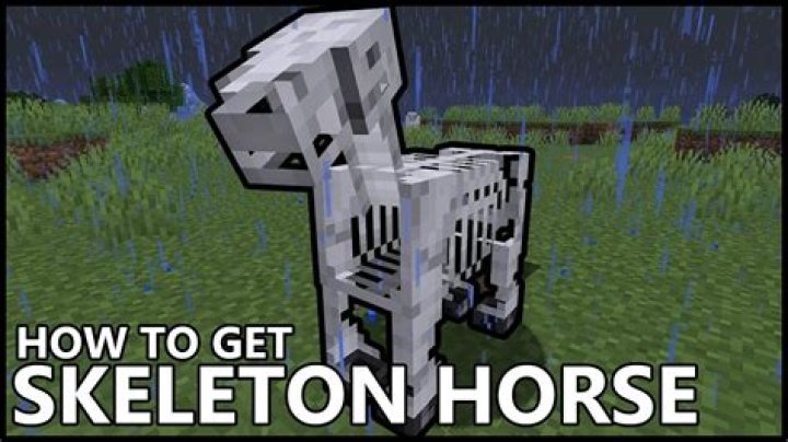 How to spawn a skeleton horse in minecraft