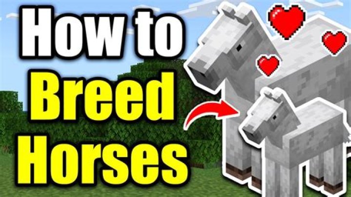 How to spawn a specific horse in minecraft