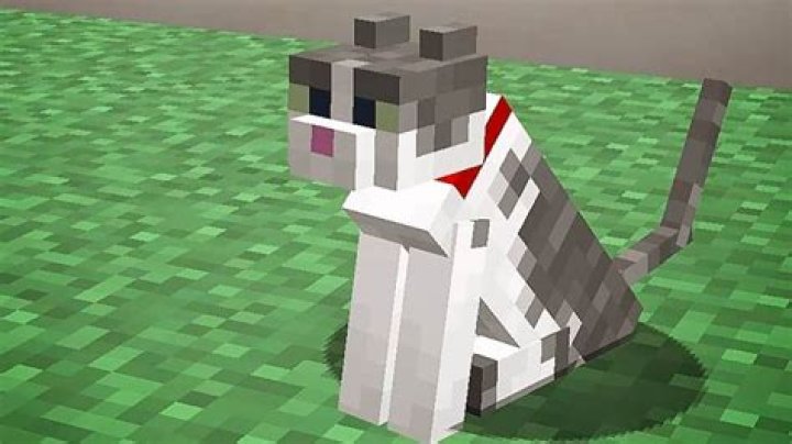 How to spawn a tamed cat in minecraft