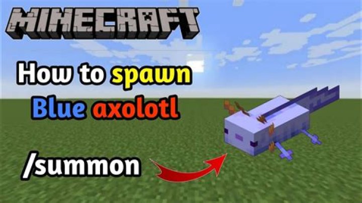 How to spawn the blue axolotl in minecraft