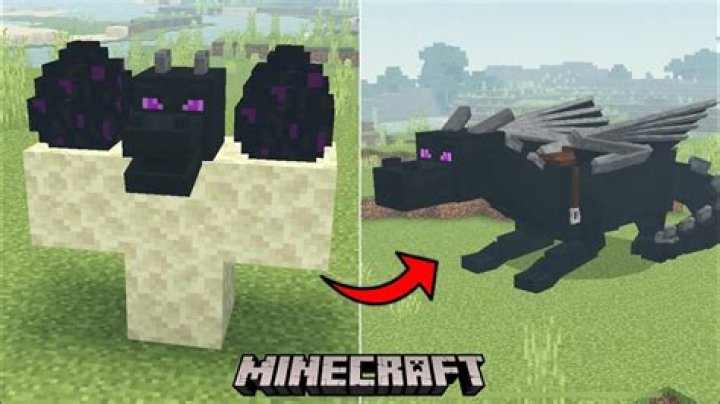 How to spawn the enderdragon in minecraft pe