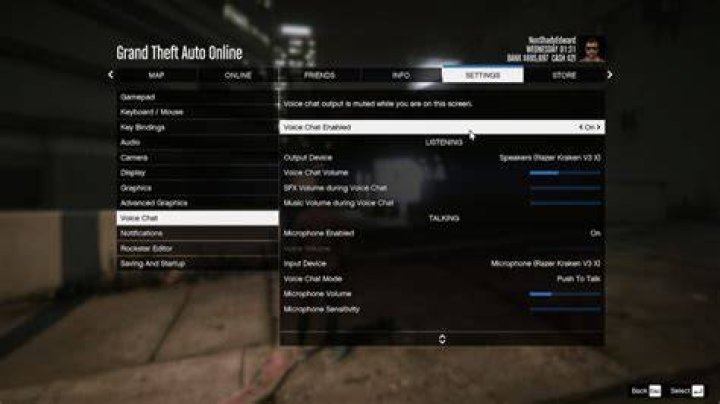 How to talk in gta 5 online pc