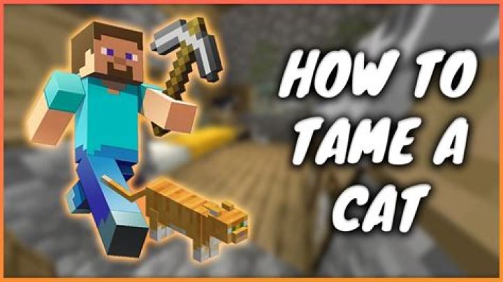 How to tame a cat in minecraft ps4