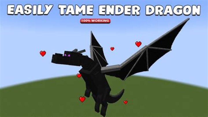 How to tame a ender dragon in minecraft
