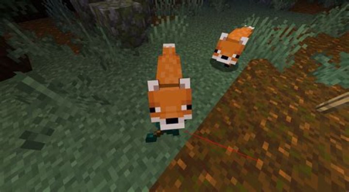 How to tame a fox in minecraft ps4