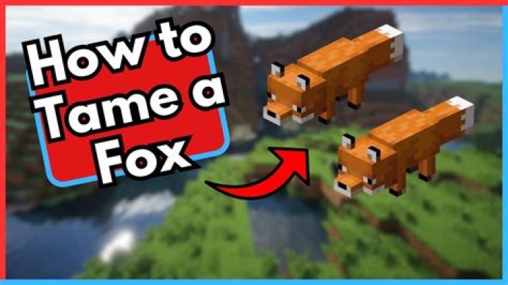 How to tame a fox in minecraft tutorial