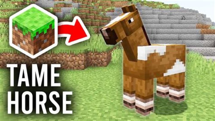 How to tame a horse in minecraft 2020