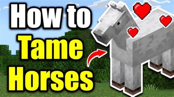How to tame a horse on minecraft xbox