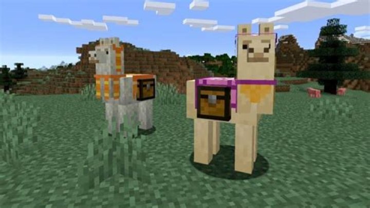 How to tame a llama in minecraft ps4