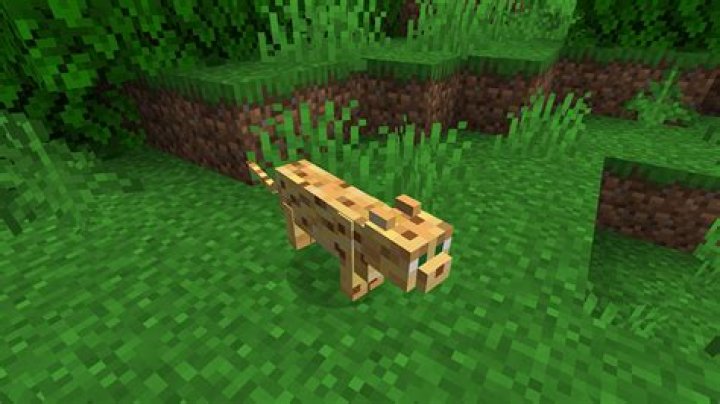 How to tame a ocelot in minecraft 1.12.2
