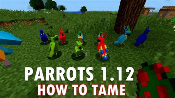 How to tame a parrot in minecraft 1.12