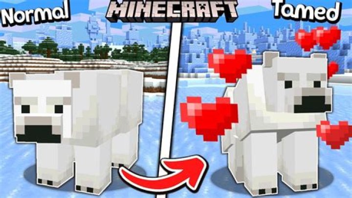 How to tame a polar bear in minecraft