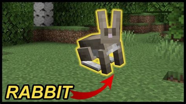 How to tame a rabbit in minecraft pc