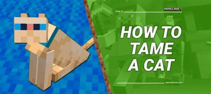 How to tame a stray cat in minecraft