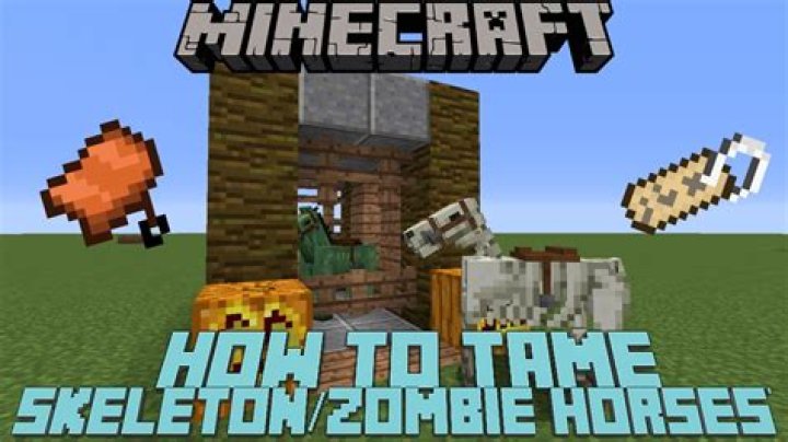 How to tame a zombie horse in minecraft