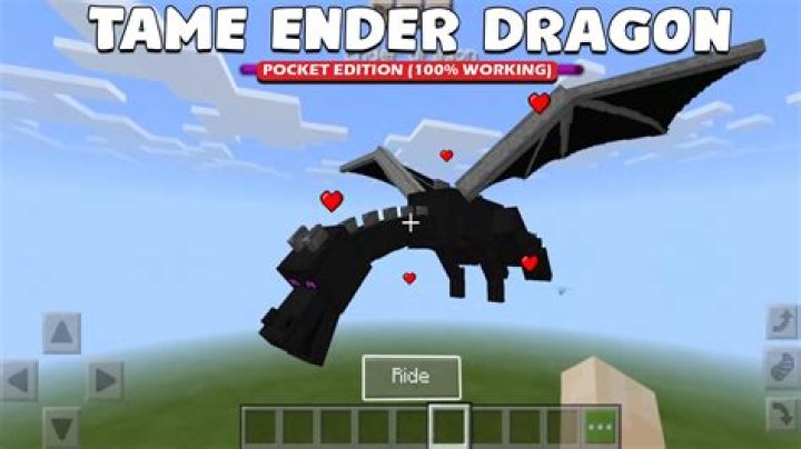 How to tame an ender dragon in minecraft
