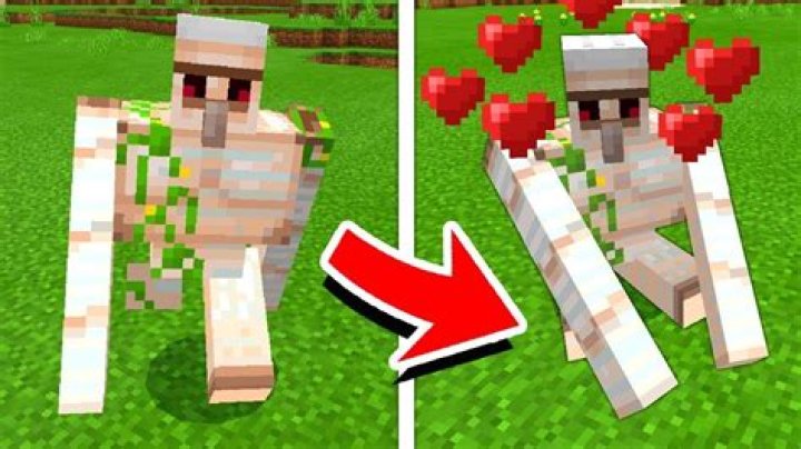 How to tame an iron golem in minecraft