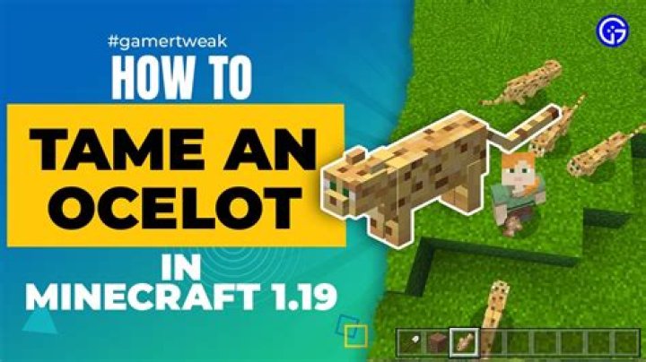 How to tame an ocelot in minecraft 2021