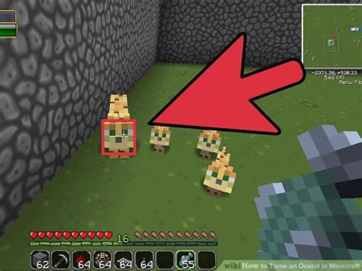 How to tame an ocelot in minecraft pc