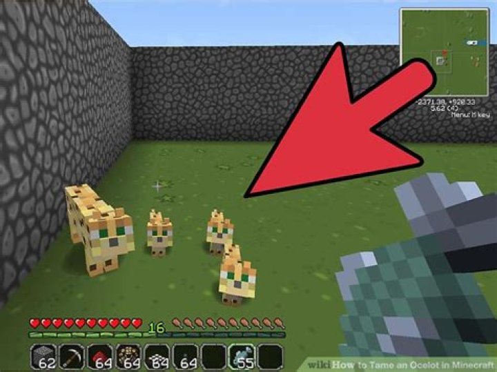 How to tame an ocelot in minecraft ps4