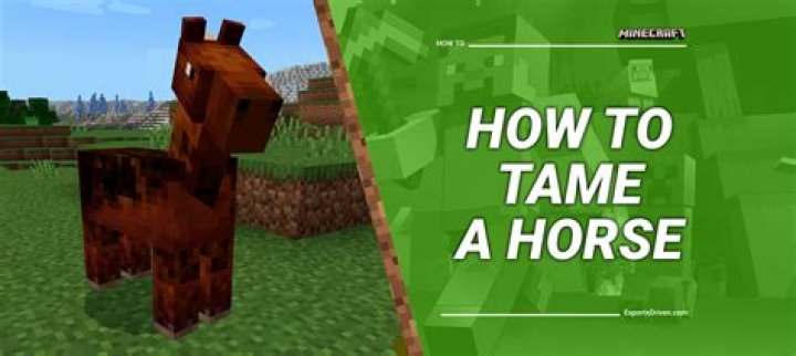 How to tame horses in minecraft xbox 360