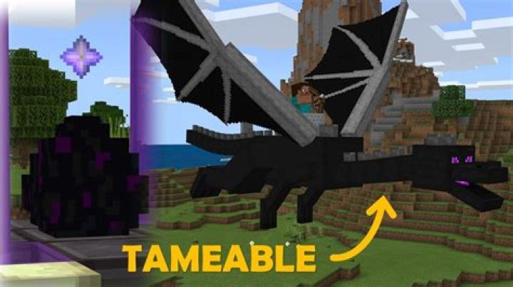 How to tame the ender dragon in minecraft
