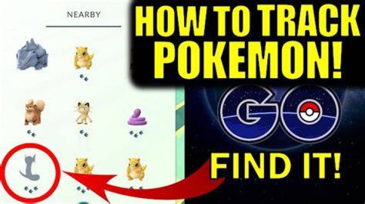 How to track pokemon pokemon go