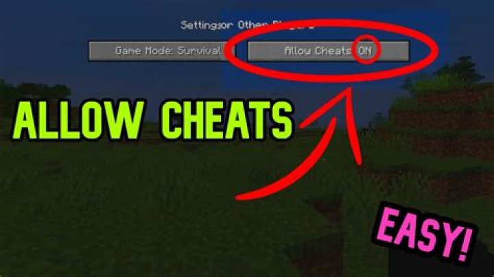 How to turn cheats on in minecraft java