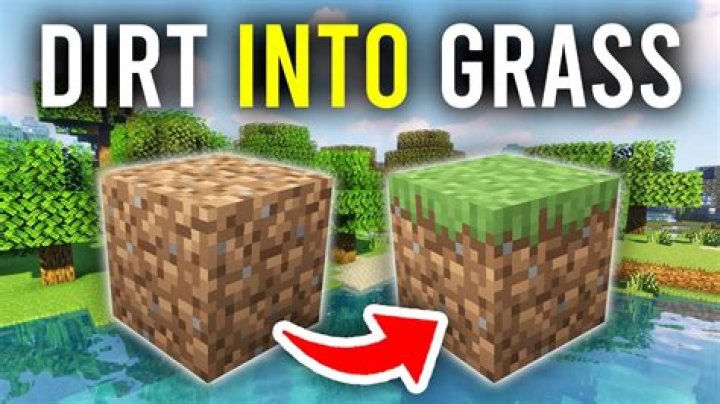 How to turn dirt into grass minecraft skyblock