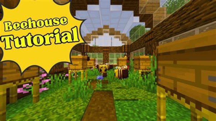 How to turn into a bee in minecraft
