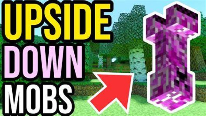 How to turn mobs upside down in minecraft