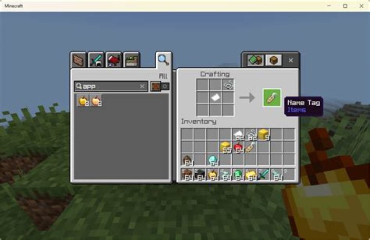 How to turn off nametags in minecraft pe