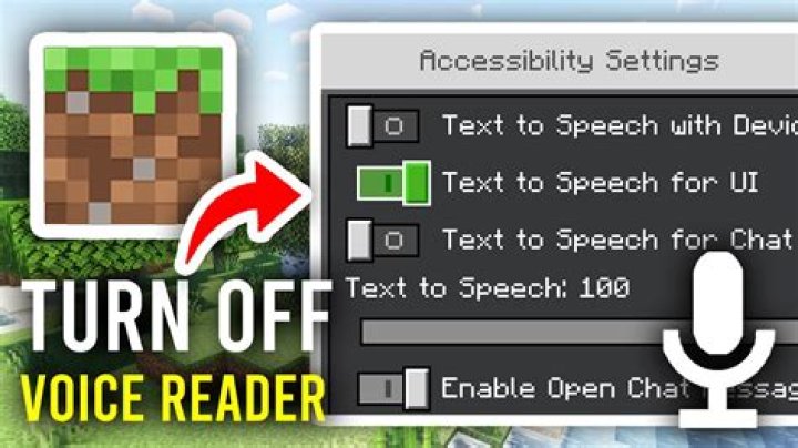 How to turn off the voice in minecraft