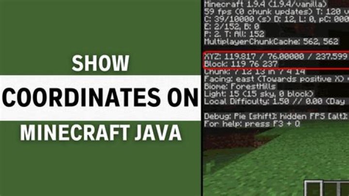 How to turn on coordinates in minecraft java