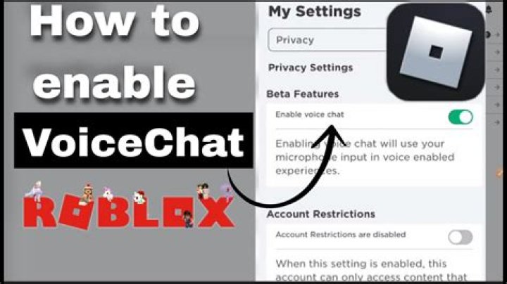 How to unlock voice chat in roblox