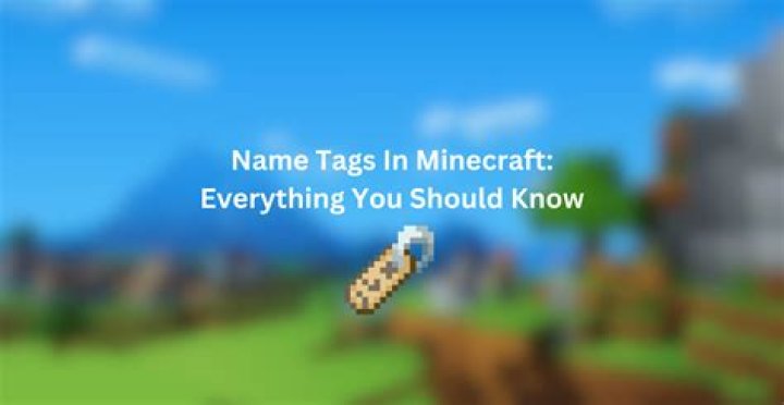 How to use name tags in minecraft xbox