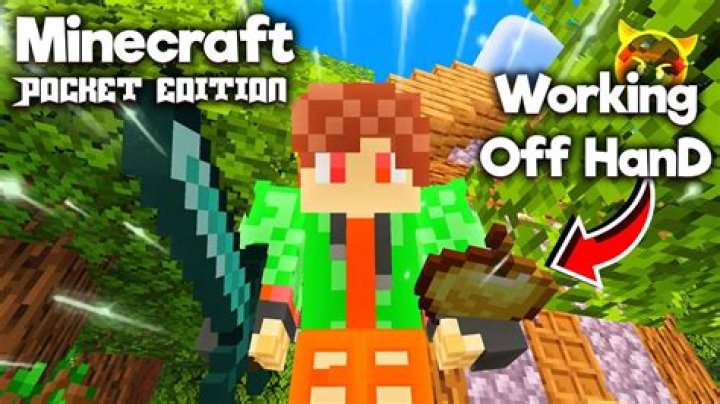 How to use off hand in minecraft switch