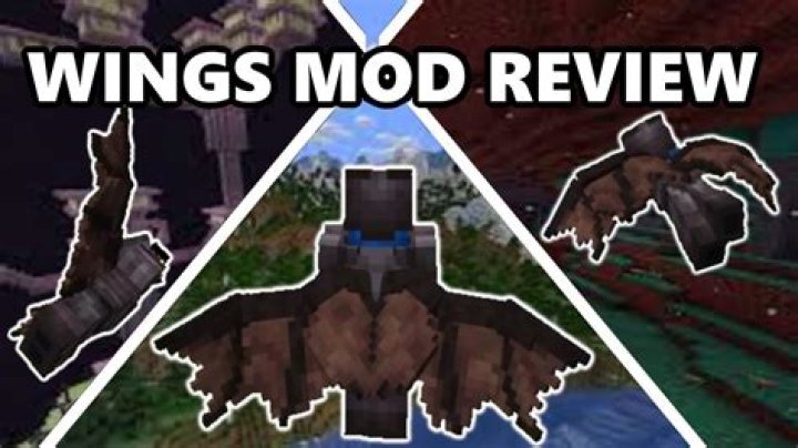 How to use the wings in minecraft 1.9