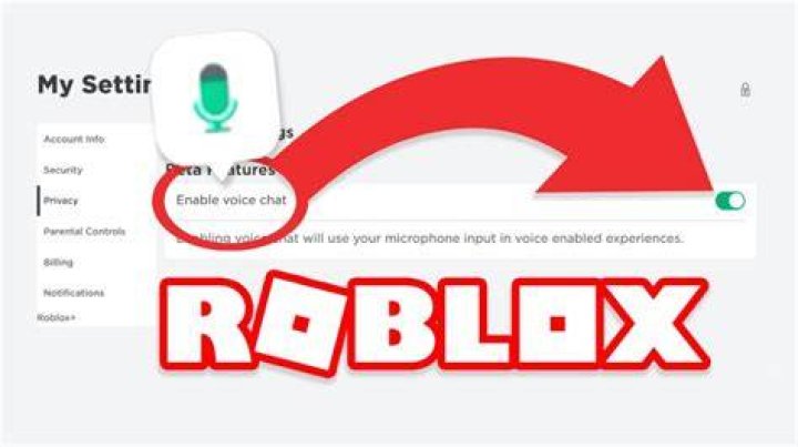 How to voice chat on roblox