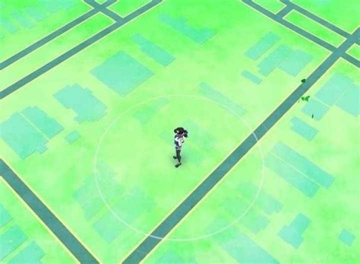 In pokemon go what do the leaves mean