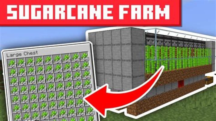 Minecraft how to make a sugar cane farm