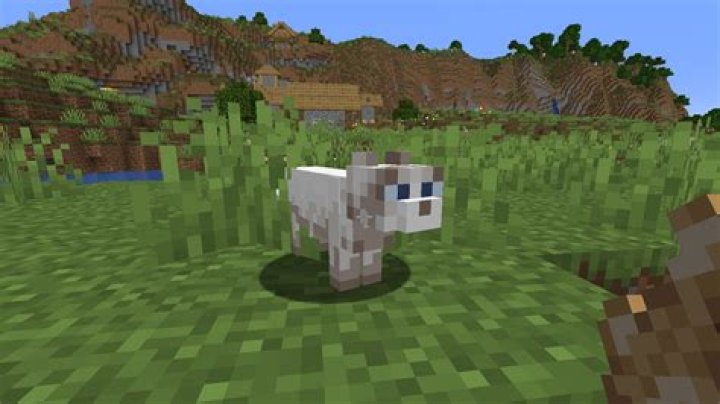 Minecraft mo creatures how to tame a kitty