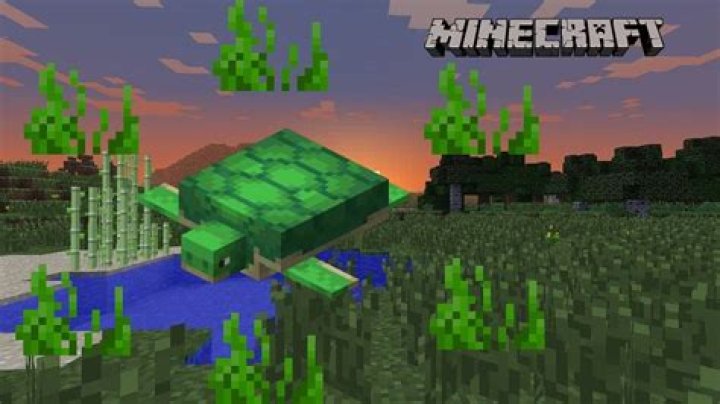 Minecraft mo creatures how to tame a turtle