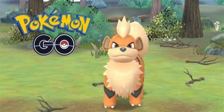 Pokemon go how long do pokemon stay